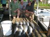 (05/29/2018) - Nice Striped Bass
